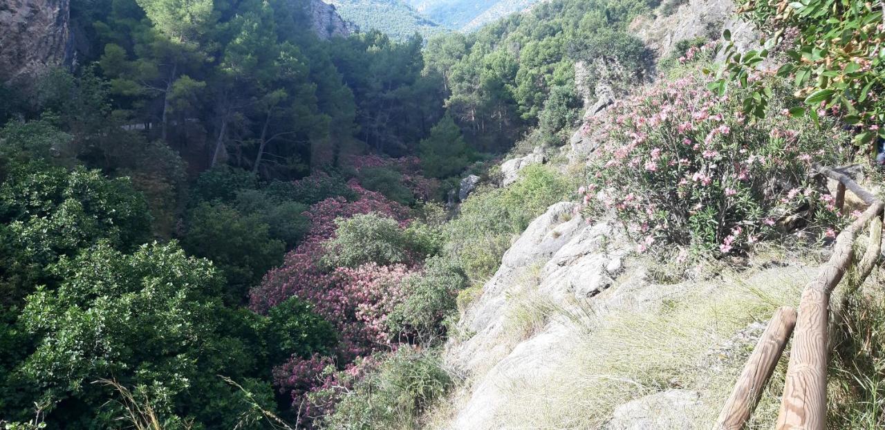 Hostal Rural De Cuadros Bedmar y Garciez Exteriér fotografie